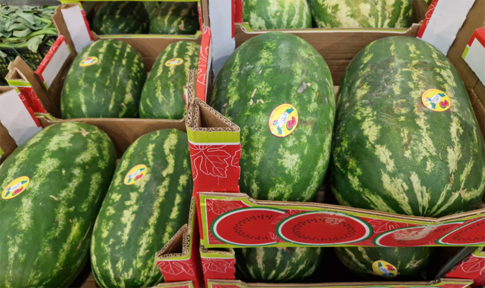 Angurie - Marocco - 1,50 euro al chilogrammo